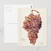 bundel rode druiven voor het schilderen van fruit briefkaart (Voorkant / Achterkant)