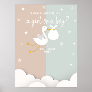 Bundel van Joy Stork Gender onthult stemmen Poster