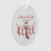 bundel van vreugde winterteddybeer ornament (voorkant)