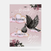 Bundle gothique Boo Raven Baby shower Bienvenue (Recto)