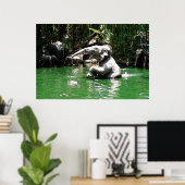 Bungle dans la jungle 36 x 24 Poster (Bureau à domicile)