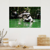 Bungle dans la jungle 36 x 24 Poster (Cuisine)