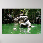 Bungle in het Oerwoud 36 x 24 Poster (Voorkant)