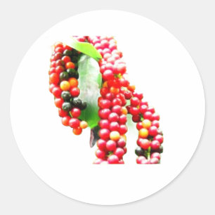 Buni Berry - Zeldzame Indonesische Wilde Bes Fruit Ronde Sticker