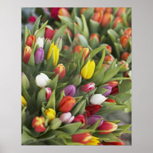 Bunken van kleurrijke tulpen poster