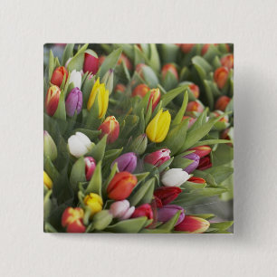 Bunken van kleurrijke tulpen vierkante button 5,1 cm