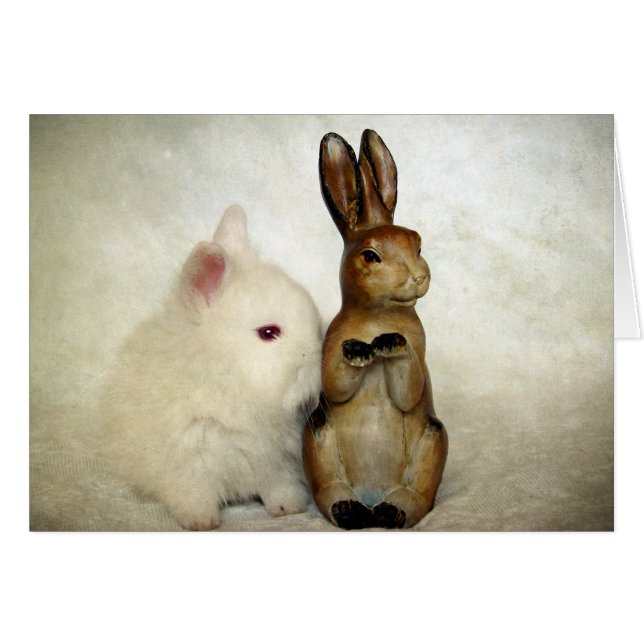 Bunnies (Voorkant Horizontaal)
