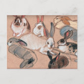 Bunnies Briefkaart (Voorkant)