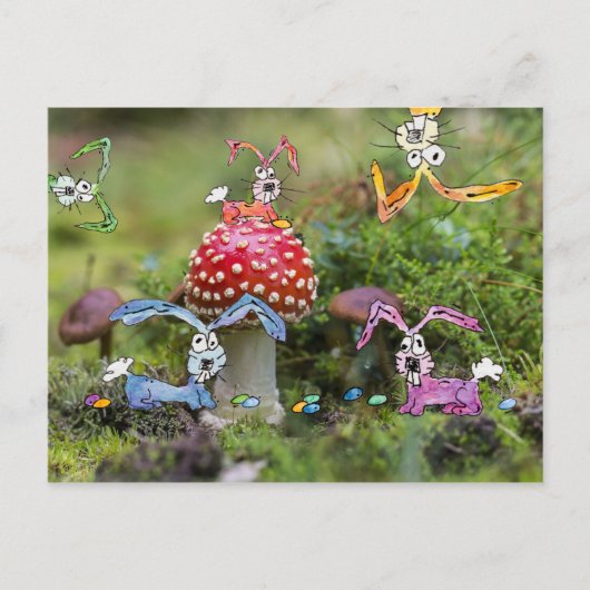 "BUNNIES FOU !" Carte postale (Devant)