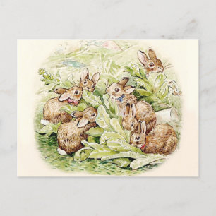 Bunnies in de sla Patch door Beatrix Potter Briefkaart