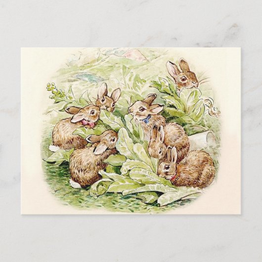 Bunnies in de sla Patch door Beatrix Potter Briefkaart (Voorkant)