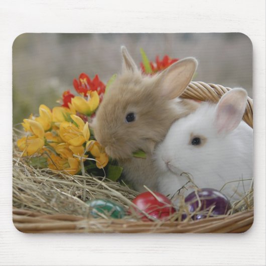 Bunnies in mandje muismat (Voorkant)
