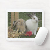 Bunnies Muismat (Met muis)