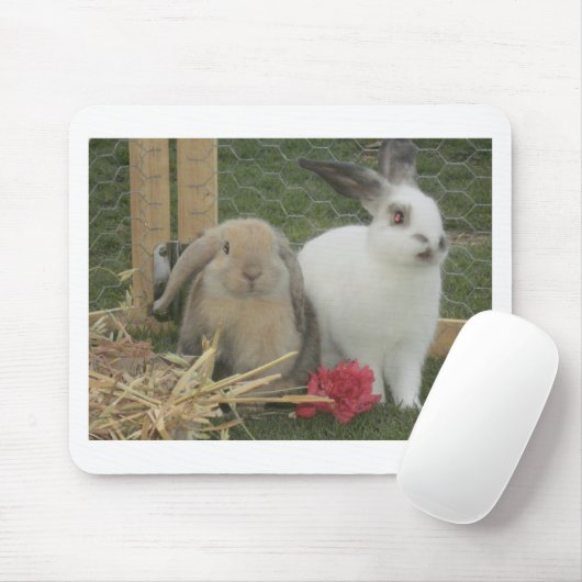 Bunnies Muismat (Met muis)