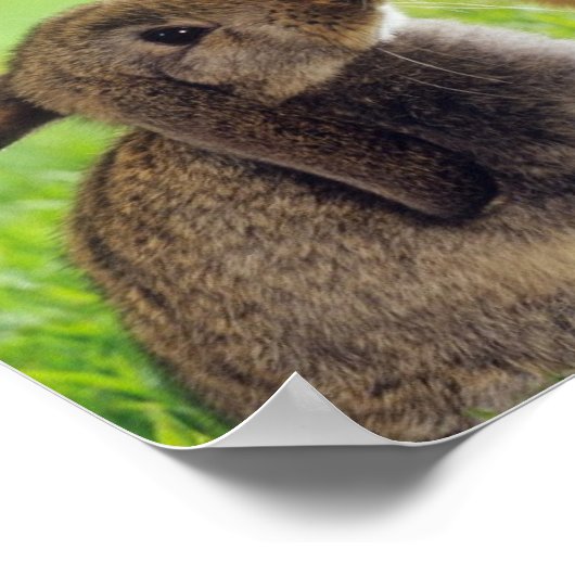 Bunnies Poster (Hoek)