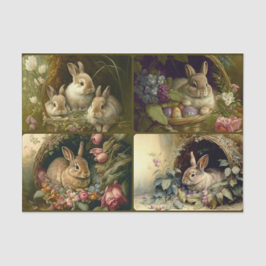 Bunnies van mandjes tissuepapier (Voorkant)