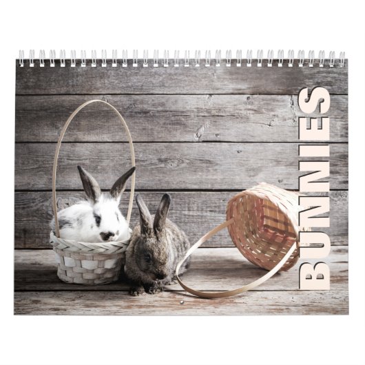 Bunnies Wall Calendar Kalender (Hoes)