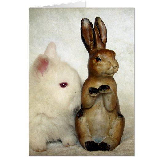 Bunniesaas (Voorkant)