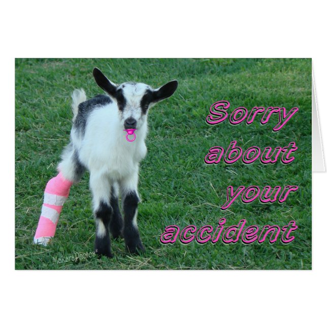 Bunny1375-pas aan (Voorkant Horizontaal)