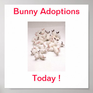 Bunny Adoption Today Sign Poster