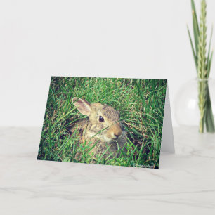 Bunny All Occasions Kaart