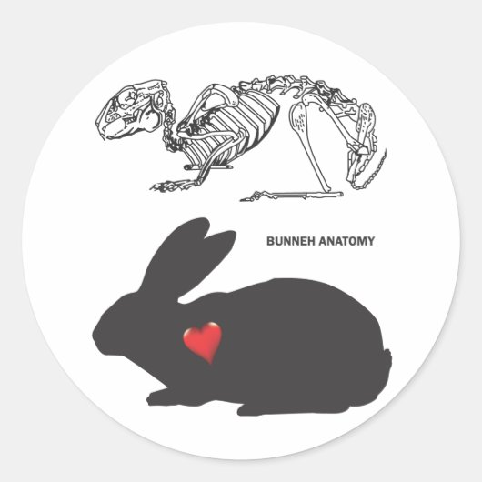 Bunny Anatomy Ronde Sticker (Voorkant)