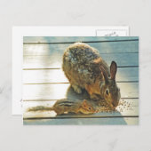 Bunny and Chipmunk Sharing Briefkaart (Voorkant / Achterkant)