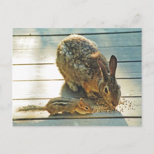 Bunny and Chipmunk Sharing Briefkaart (Voorkant)