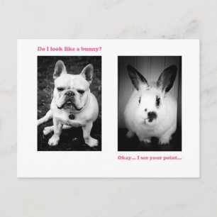 Bunny and French bulldog Briefkaart