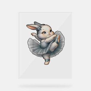 Bunny Ballet Ballerina Rabbit Ballet Bunny Danse T