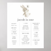 Bunny Balloon Poster (Voorkant)