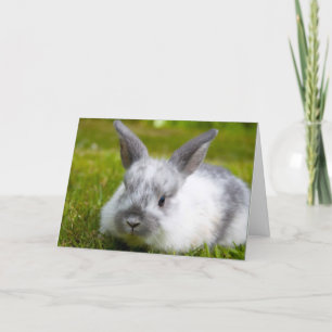 Bunny Birthday Kaart