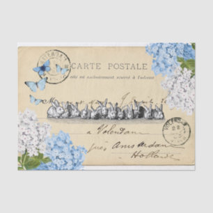  Bunny Blue Floral Paris Post Tissue Paper Tissuepapier