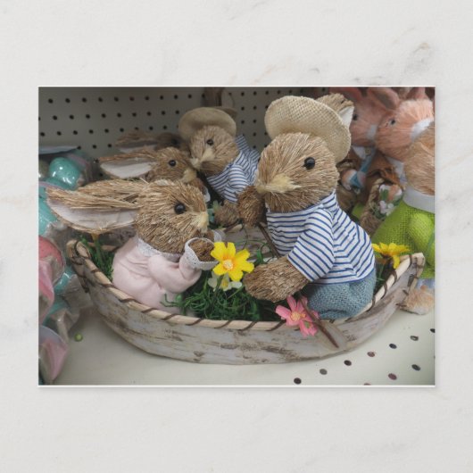 Bunny Boat Briefkaart (Voorkant)