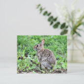 Bunny Briefkaart (Staand voorkant)