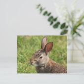 Bunny briefkaart (Staand voorkant)