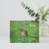 Bunny Briefkaart (Staand voorkant)