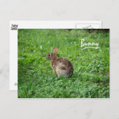Bunny Briefkaart (Voorkant / Achterkant)