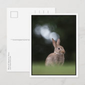 Bunny Briefkaart (Voorkant / Achterkant)