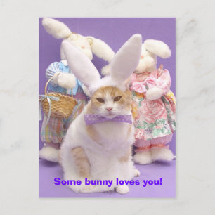 Bunny Bubba 3 Briefkaart