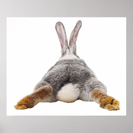 Bunny Butt Rabbit Bubble Nursery Child Poster (Voorkant)