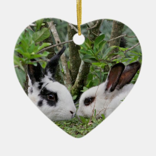 Bunny Couple Keramisch Ornament (Voorkant)