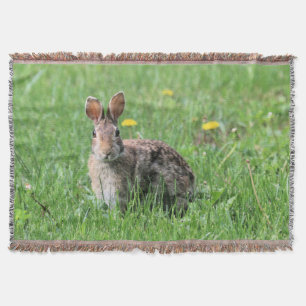 Bunny Deken