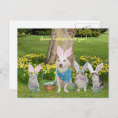 Bunny Dog met Bunny Cats Feestdagenkaart (Voorkant / Achterkant)