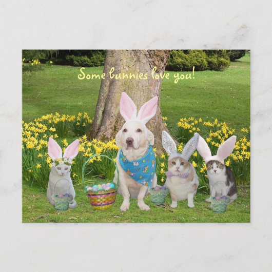 Bunny Dog met Bunny Cats Feestdagenkaart (Voorkant)