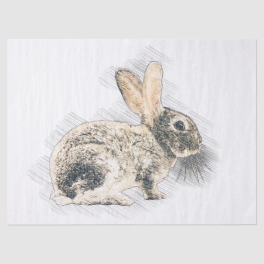 Bunny Drawing Tissuepapier (Voorkant)