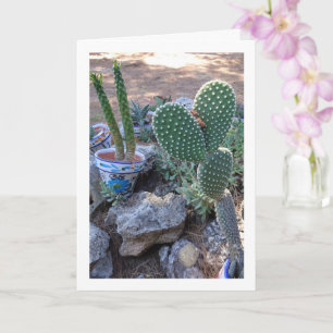 Bunny Ears Cactus en Eve's Pin Cactus Plant Kaart