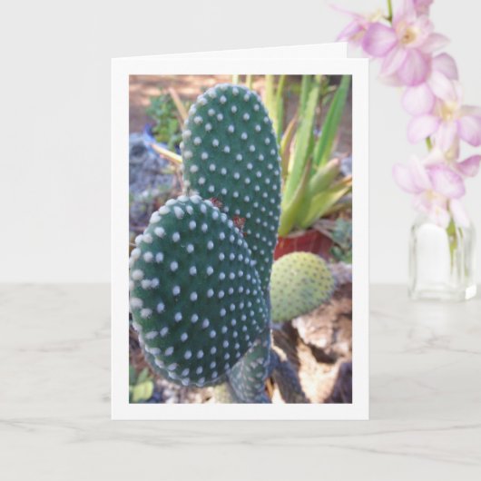 Bunny Ears Cactus Plant Kaart (Orchidee)