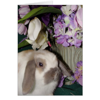 Bunny en Blooms 08