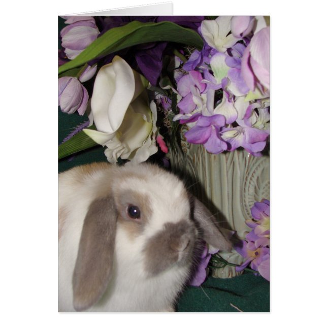 Bunny en Blooms 08 (Voorkant)